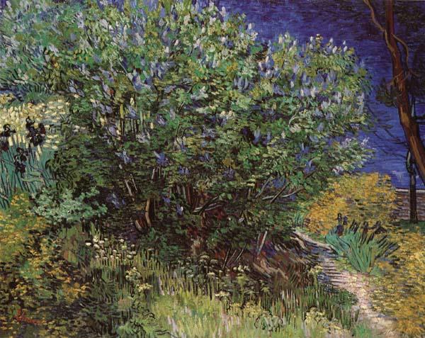 Vincent Van Gogh Bushes oil painting image